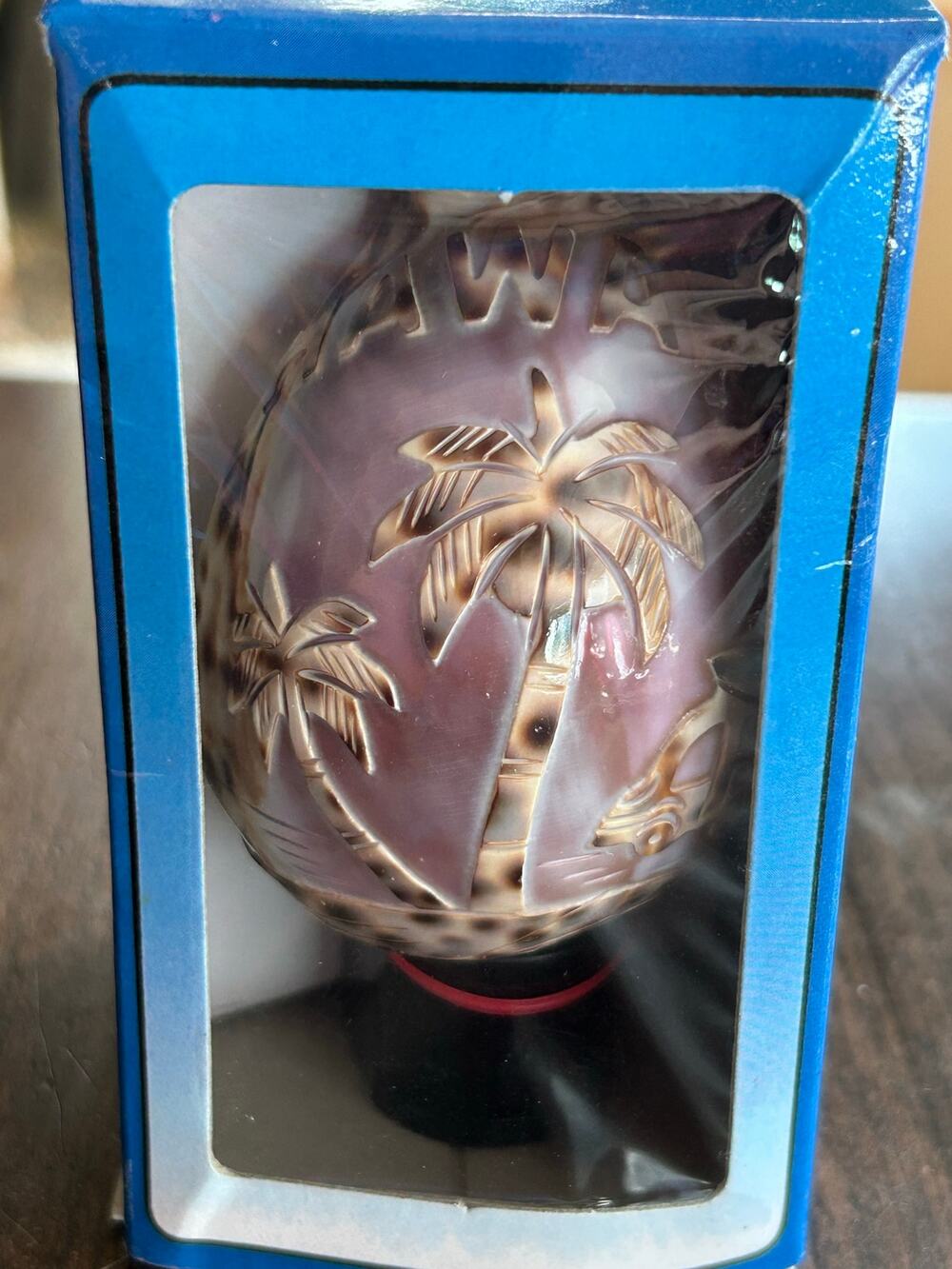 NOS Hand Carved Cameo Hawaii Natural Ocean Tiger Cowrie Sea Shell night light